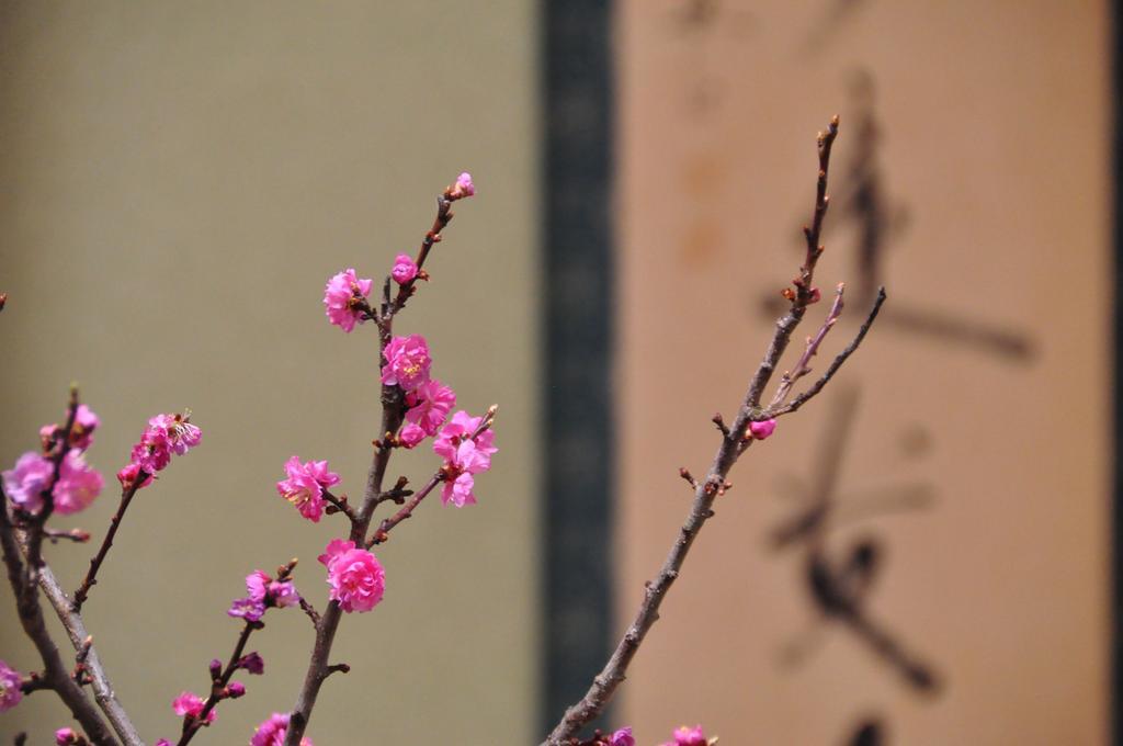 Ryokan Urashima Onomichi Quarto foto